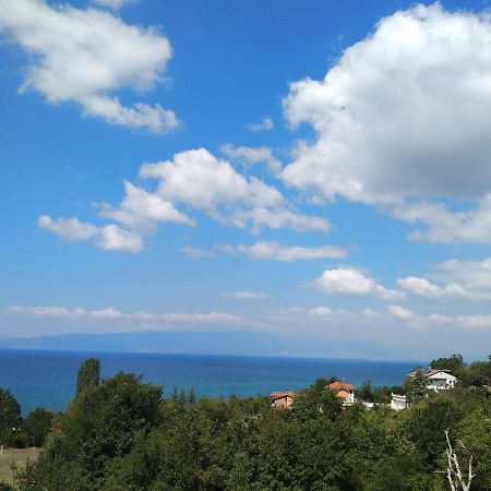 The Brothers Villa Hotel Ohrid Bagian luar foto