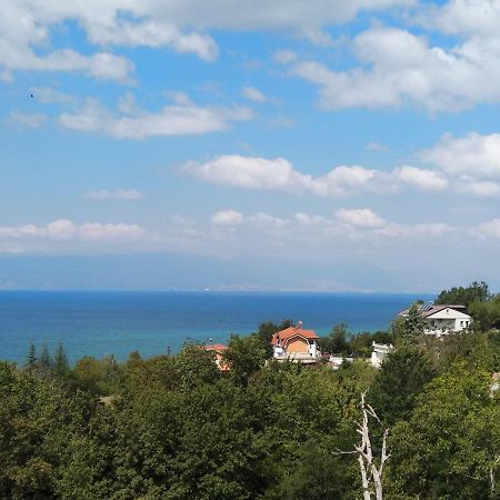The Brothers Villa Hotel Ohrid Bagian luar foto