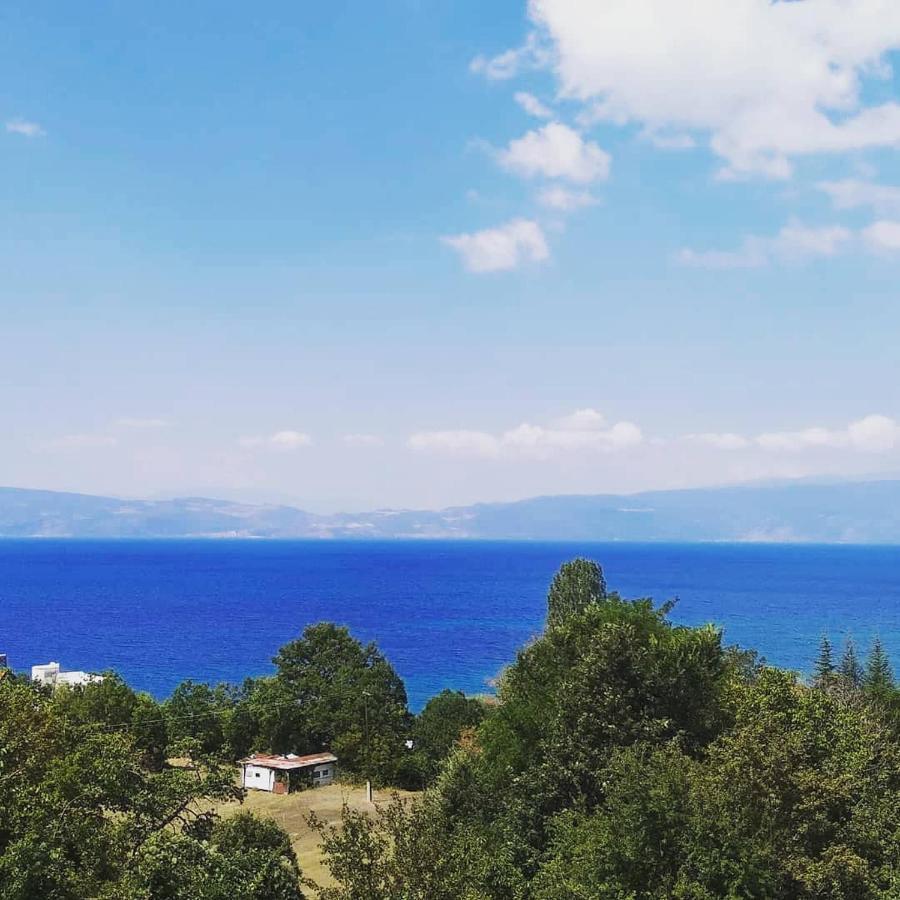 The Brothers Villa Hotel Ohrid Bagian luar foto
