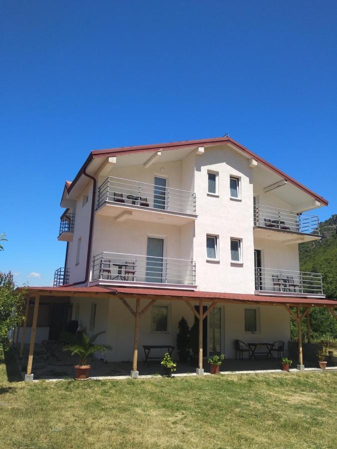 The Brothers Villa Hotel Ohrid Bagian luar foto