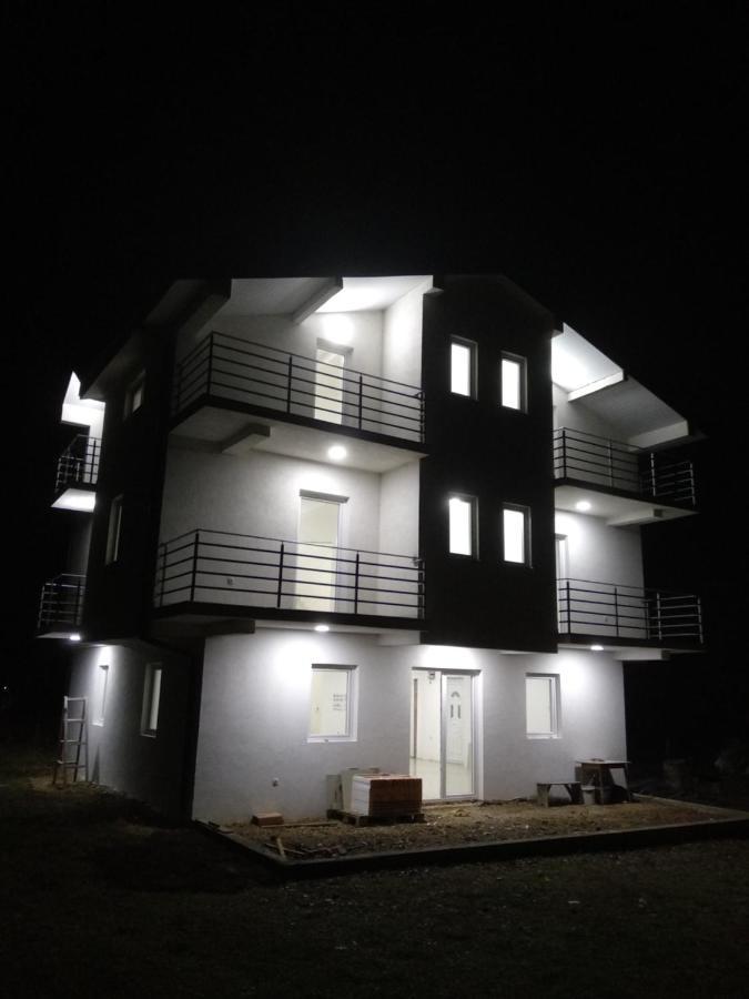 The Brothers Villa Hotel Ohrid Bagian luar foto