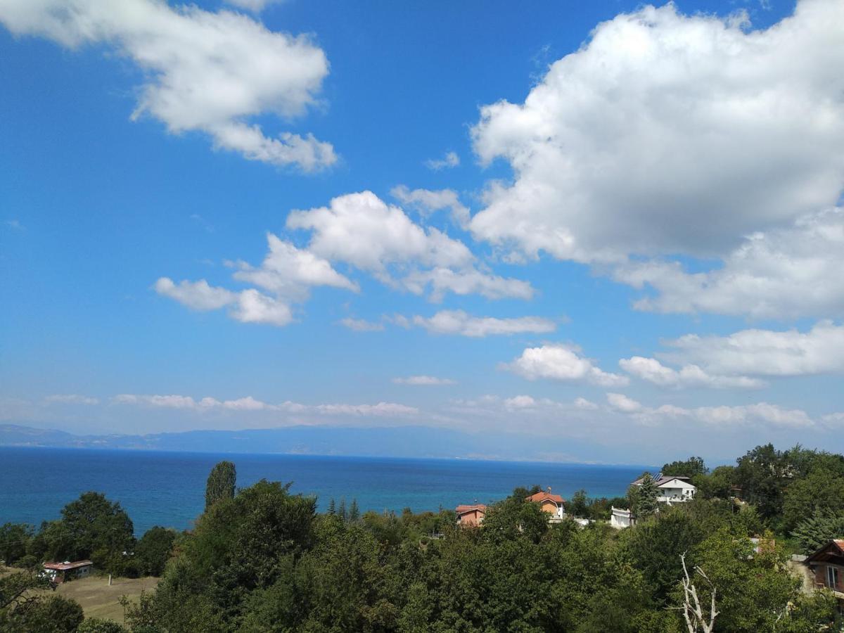 The Brothers Villa Hotel Ohrid Bagian luar foto