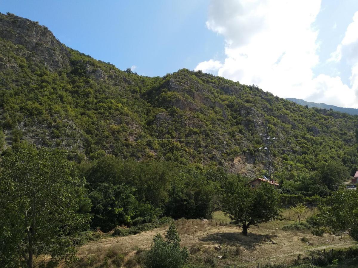 The Brothers Villa Hotel Ohrid Bagian luar foto