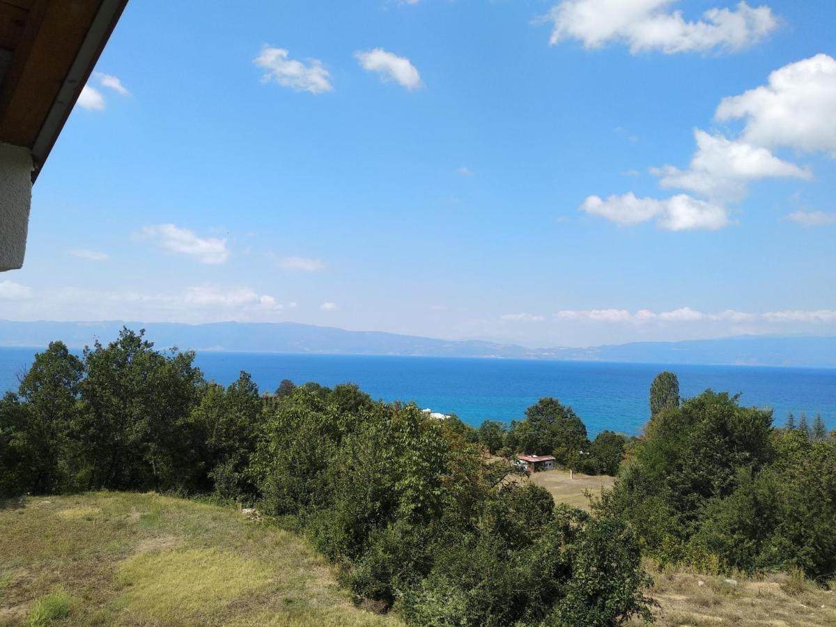 The Brothers Villa Hotel Ohrid Bagian luar foto