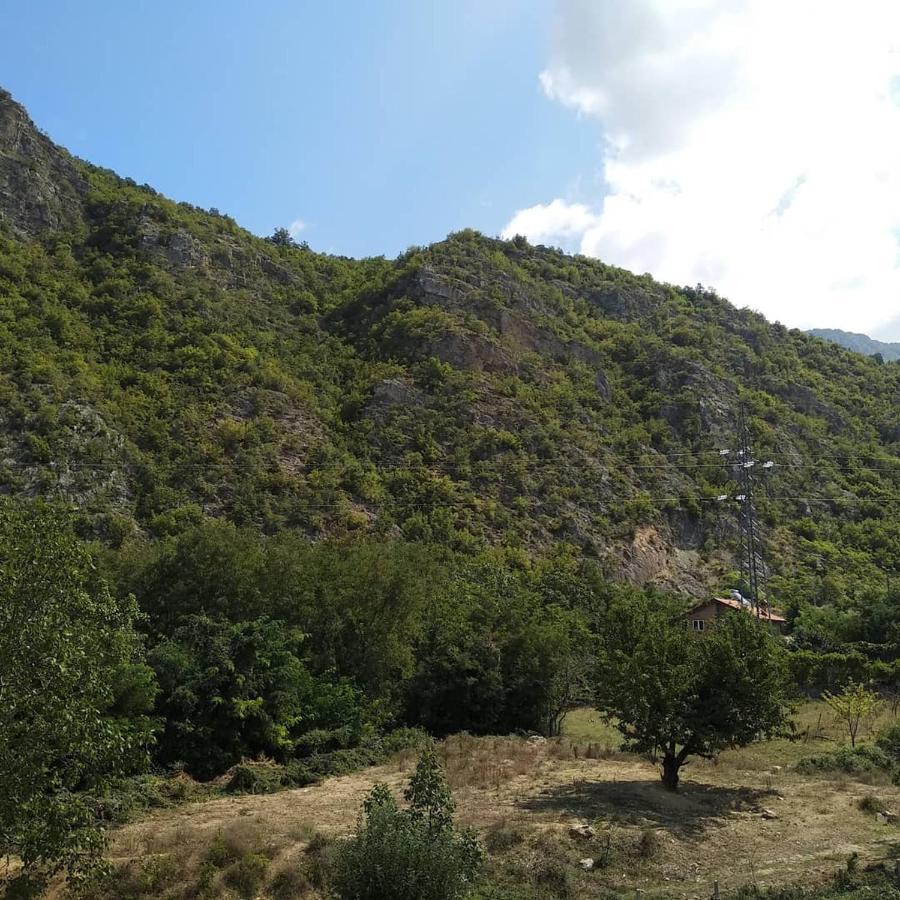 The Brothers Villa Hotel Ohrid Bagian luar foto